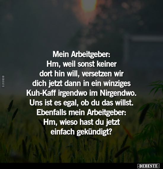 Mein Arbeitgeber: Hm, weil sonst keiner dort hin will.. - Lustige Bilder | DEBESTE.de