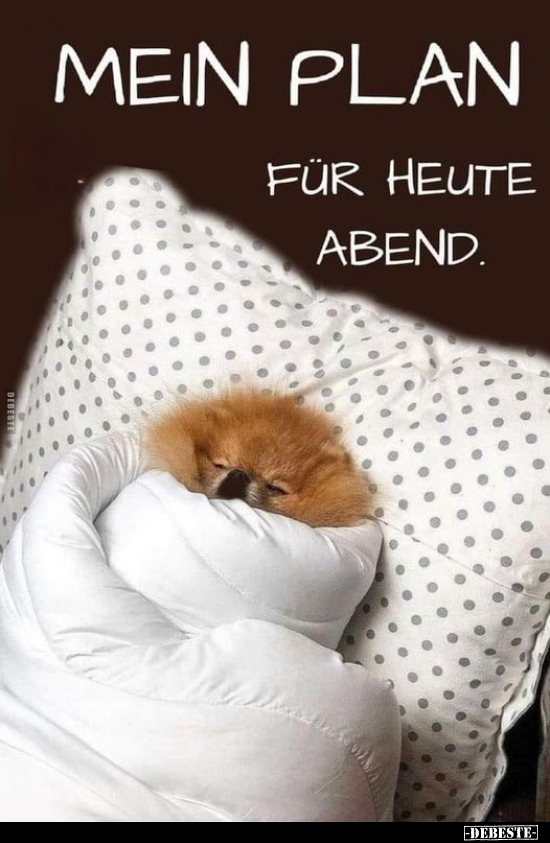 Mein Plan
für heute Abend.