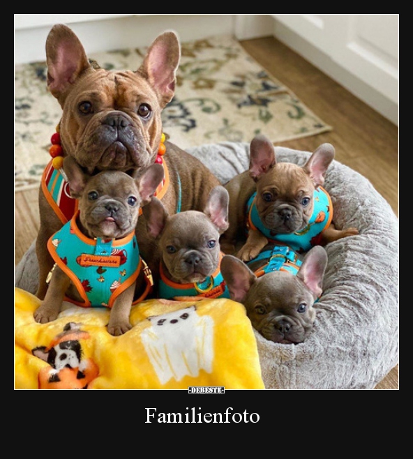 Familienfoto.. - Lustige Bilder | DEBESTE.de