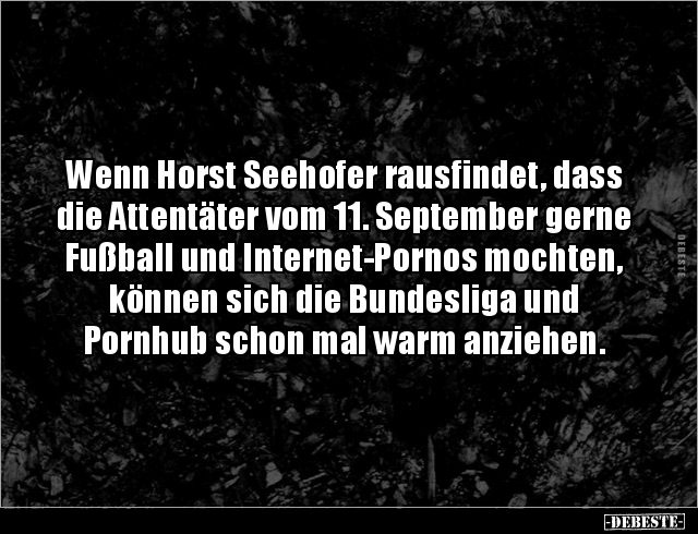 Wenn Horst Seehofer rausfindet, dass die Attentäter vom 11... - Lustige Bilder | DEBESTE.de
