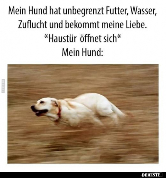 Mein Hund hat unbegrenzt Futter, Wasser, Zuflucht und.. - Lustige Bilder | DEBESTE.de