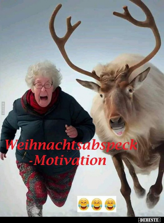 Weihnachtsabspeck - Motivation.. - Lustige Bilder | DEBESTE.de