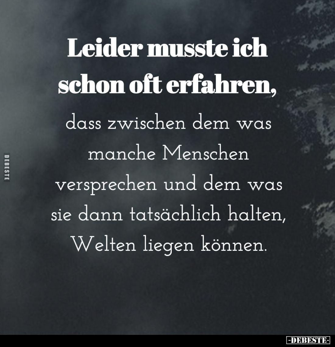Leider musste ich schon oft erfahren, dass zwischen dem was manche Menschen versprechen und dem was sie dann tatsächlich halt...