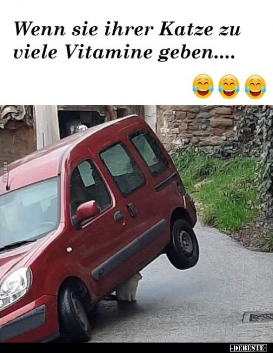 Wenn sie ihrer Katze zu viele Vitamine geben... - Lustige Bilder | DEBESTE.de
