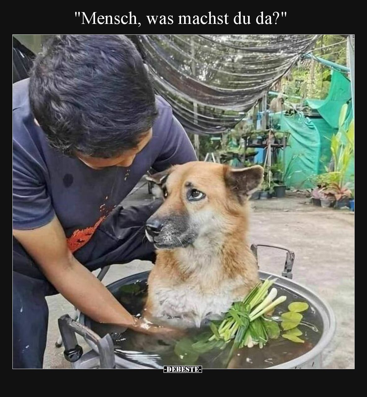 Mensch, was machst du da?