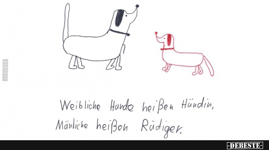 Weibliche Hunde heißen Hündin....... - Lustige Bilder | DEBESTE.de