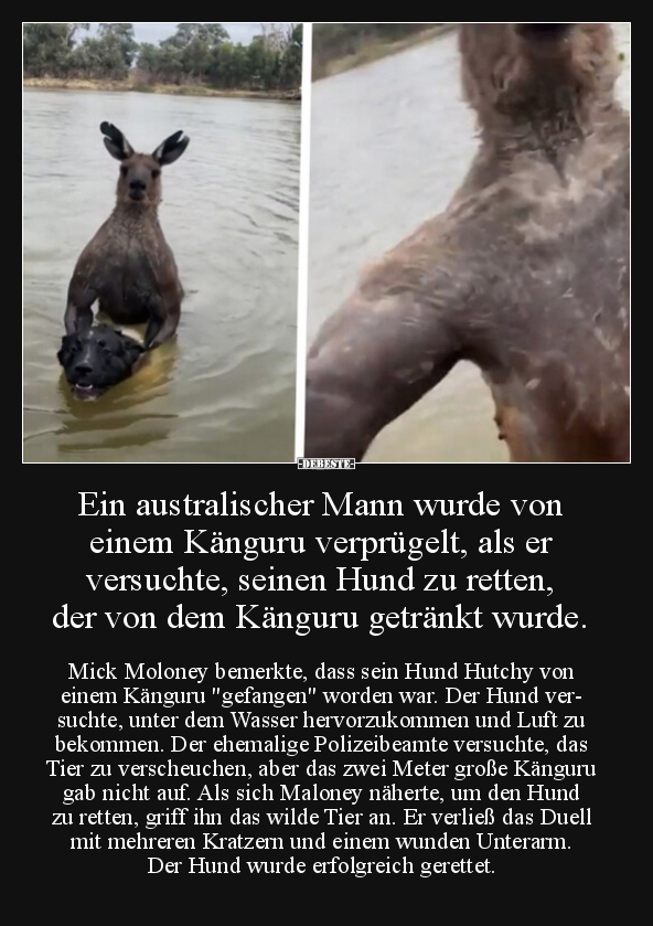 Ein australischer Mann wurde von einem Känguru.. - Lustige Bilder | DEBESTE.de