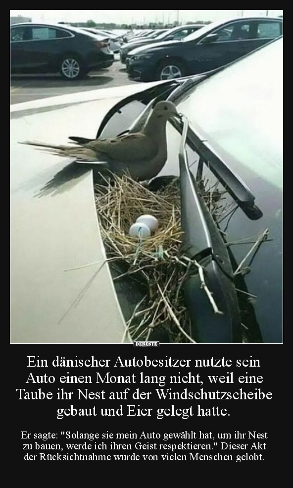 Ein dänischer Autobesitzer nutzte sein Auto einen Monat.. - Lustige Bilder | DEBESTE.de