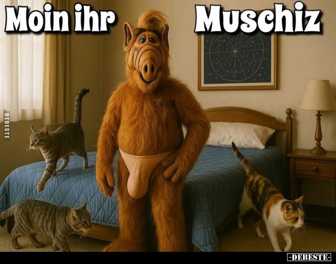 Moin ihr Muschiz