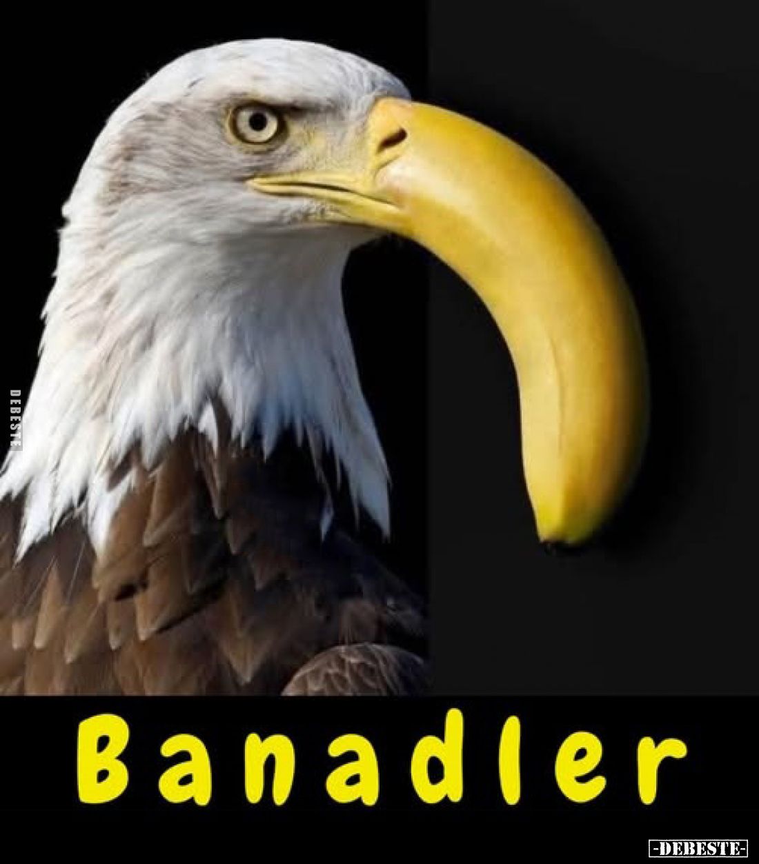 Banadler.