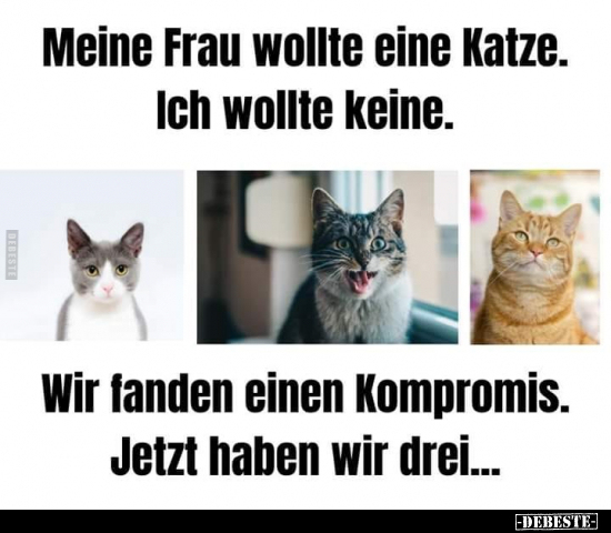 Meine Frau wollte eine Katze.. - Lustige Bilder | DEBESTE.de