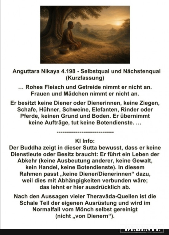AN 4.198 - Selbstqual und Nächstenqual - keine Diener - Lustige Bilder | DEBESTE.de