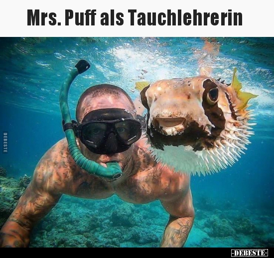Mrs. Puff als Tauchlehrerin.. - Lustige Bilder | DEBESTE.de