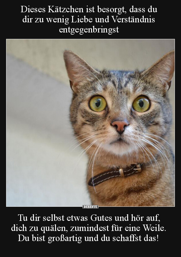 Dieses Kätzchen ist besorgt, dass du dir zu wenig Liebe und.. - Lustige Bilder | DEBESTE.de