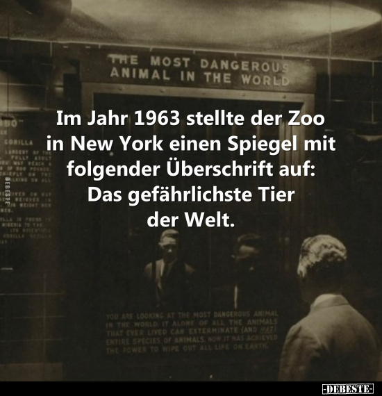 Im Jahr 1963 stellte der Zoo in New York einen Spiegel mit.. - Lustige Bilder | DEBESTE.de