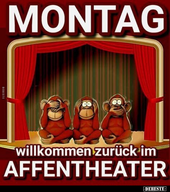 MONTAG willkommen zurück im AFFENTHEATER... - Lustige Bilder | DEBESTE.de