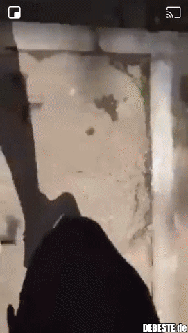 Überraschung, Motherfu*cker!