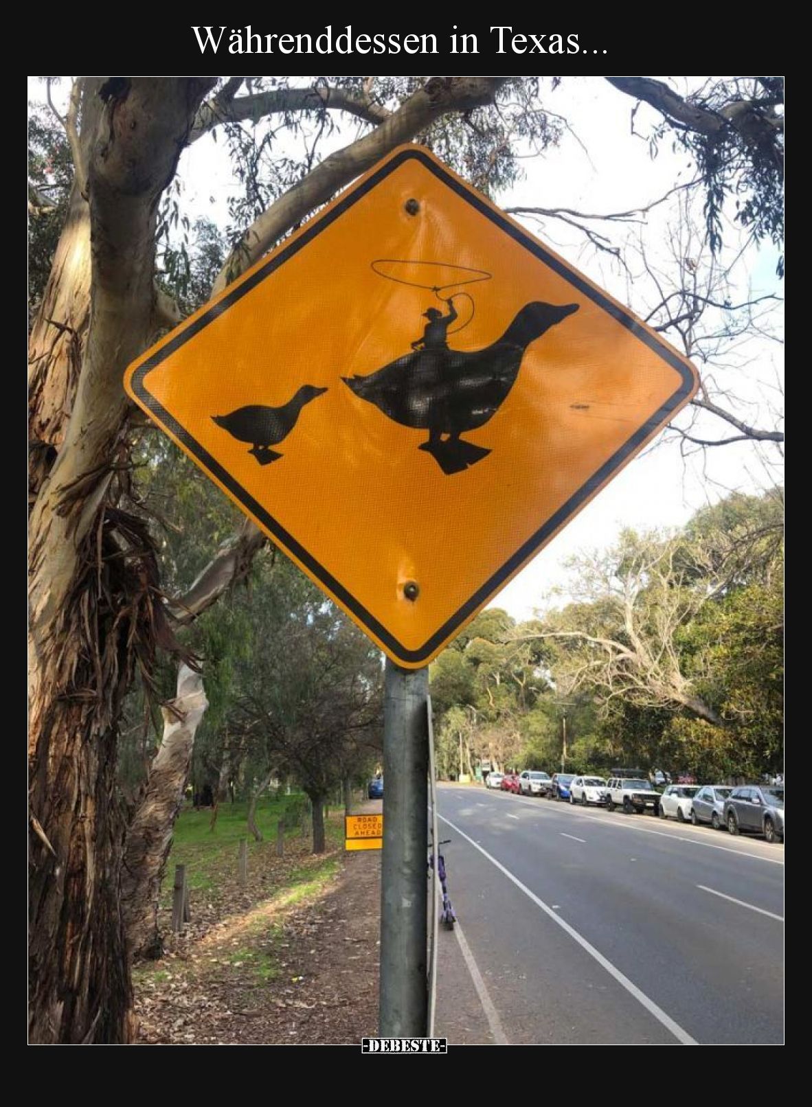 Währenddessen in Texas...