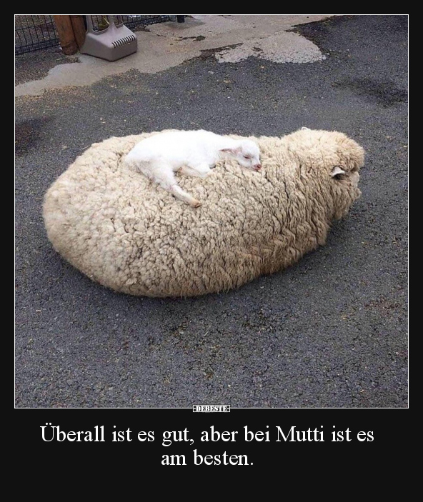 Überall ist es gut, aber bei Mutti ist es am besten.