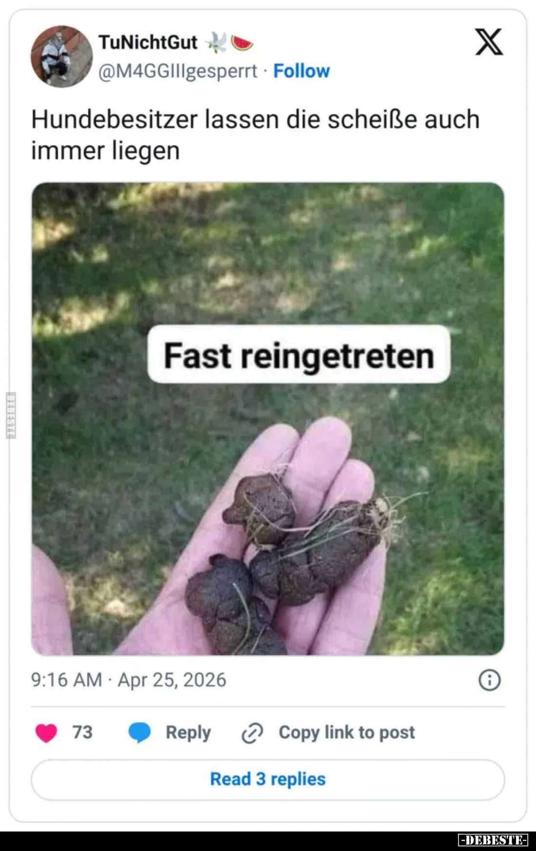 Hundebesitzer lassen die scheiße auch immer liegen
 - 
Fast reingetreten