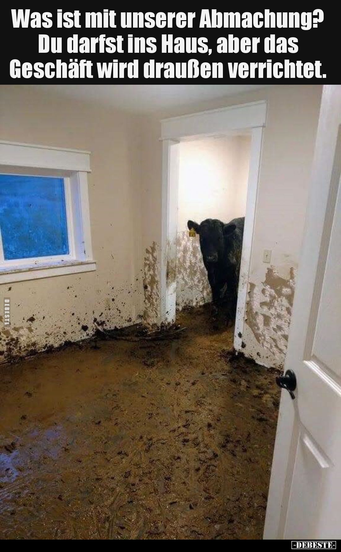 Was ist mit unserer Abmachung?
Du darfst ins Haus, aber das Geschäft wird draußen verrichtet.