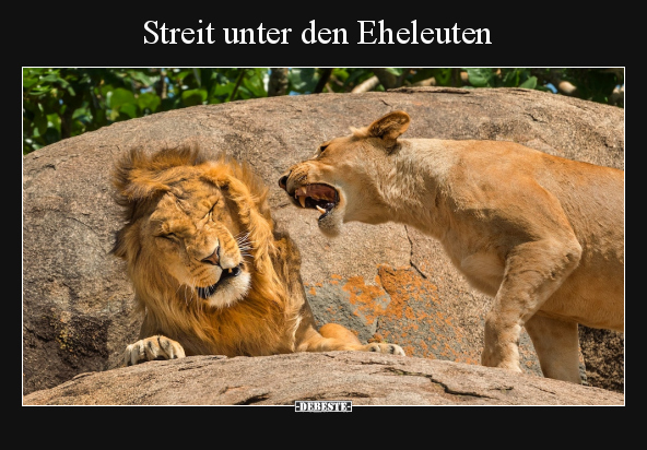 Streit unter den Eheleuten.. - Lustige Bilder | DEBESTE.de