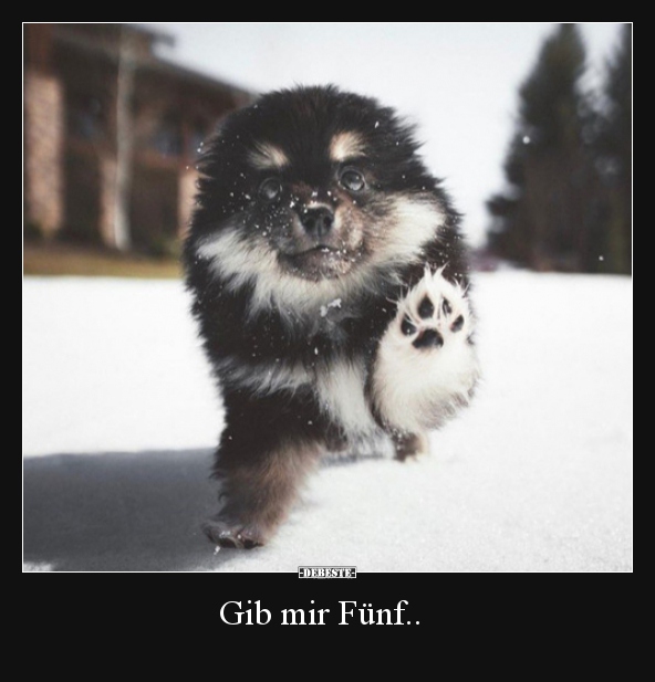 Gib mir Fünf..