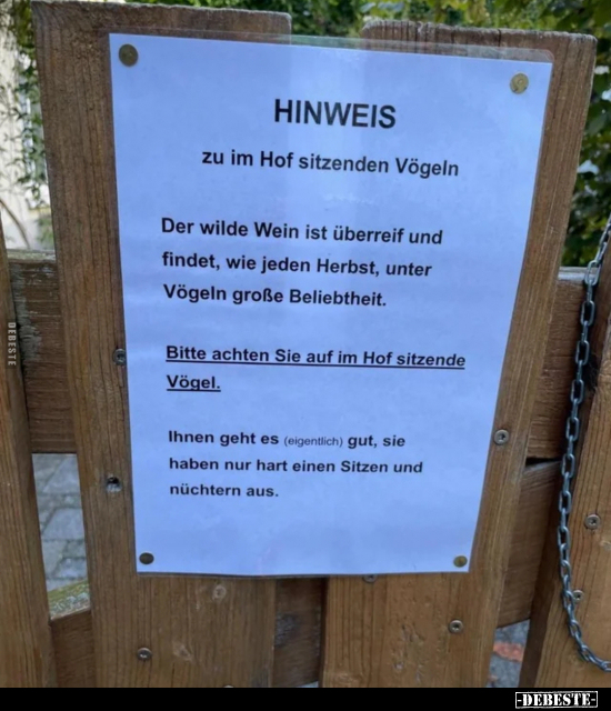 HINWEIS zu im Hof sitzenden Vögeln.. - Lustige Bilder | DEBESTE.de