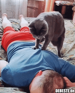  - Lustige Bilder | DEBESTE.de