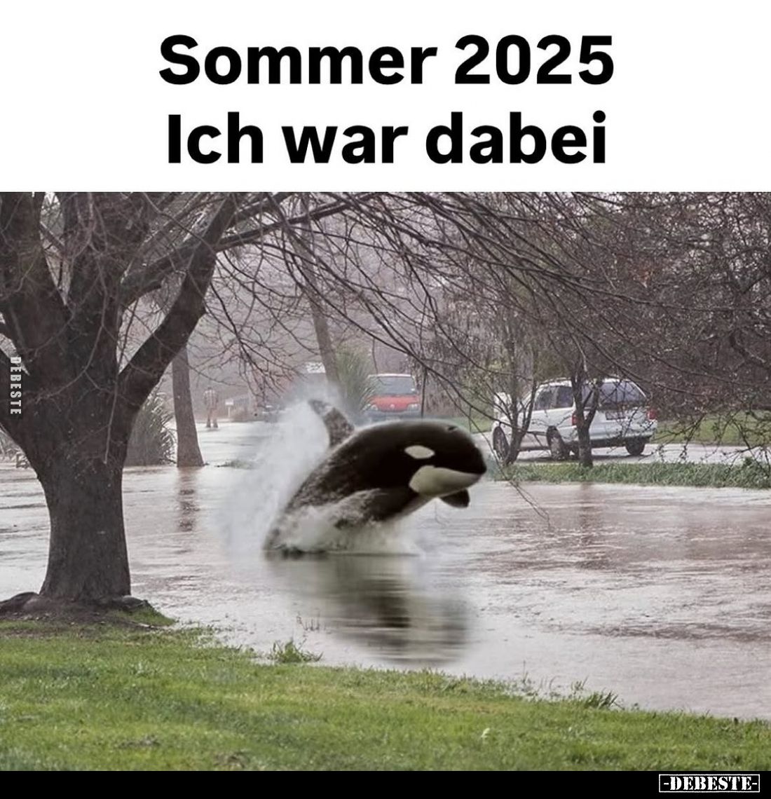 Sommer 2025
ich war dabei.