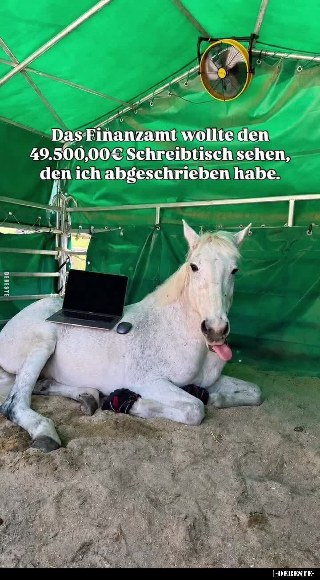 Das Finanzamt wollte den 49.500,00€ Schreibtisch sehen, den ich abgeschrieben habe.