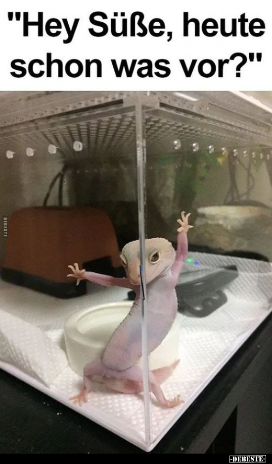 "Hey Süße, heute schon was vor?"