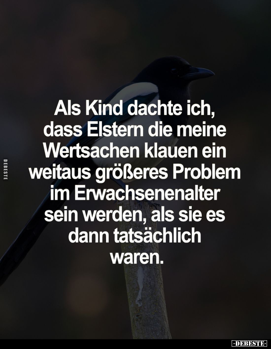 Als Kind dachte ich, dass Elstern die meine Wertsachen klauen ein weitaus größeres Problem im Erwachsenenalter sein werden, a...