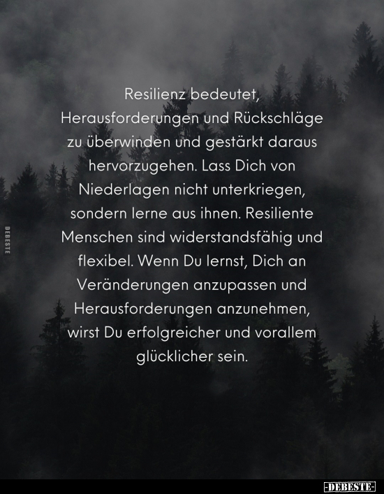 Resilienz bedeutet, Herausforderungen.. - Lustige Bilder | DEBESTE.de