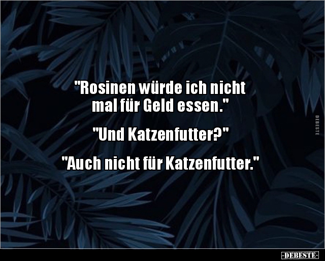 "Rosinen würde ich nicht mal für Geld essen.." - Lustige Bilder | DEBESTE.de