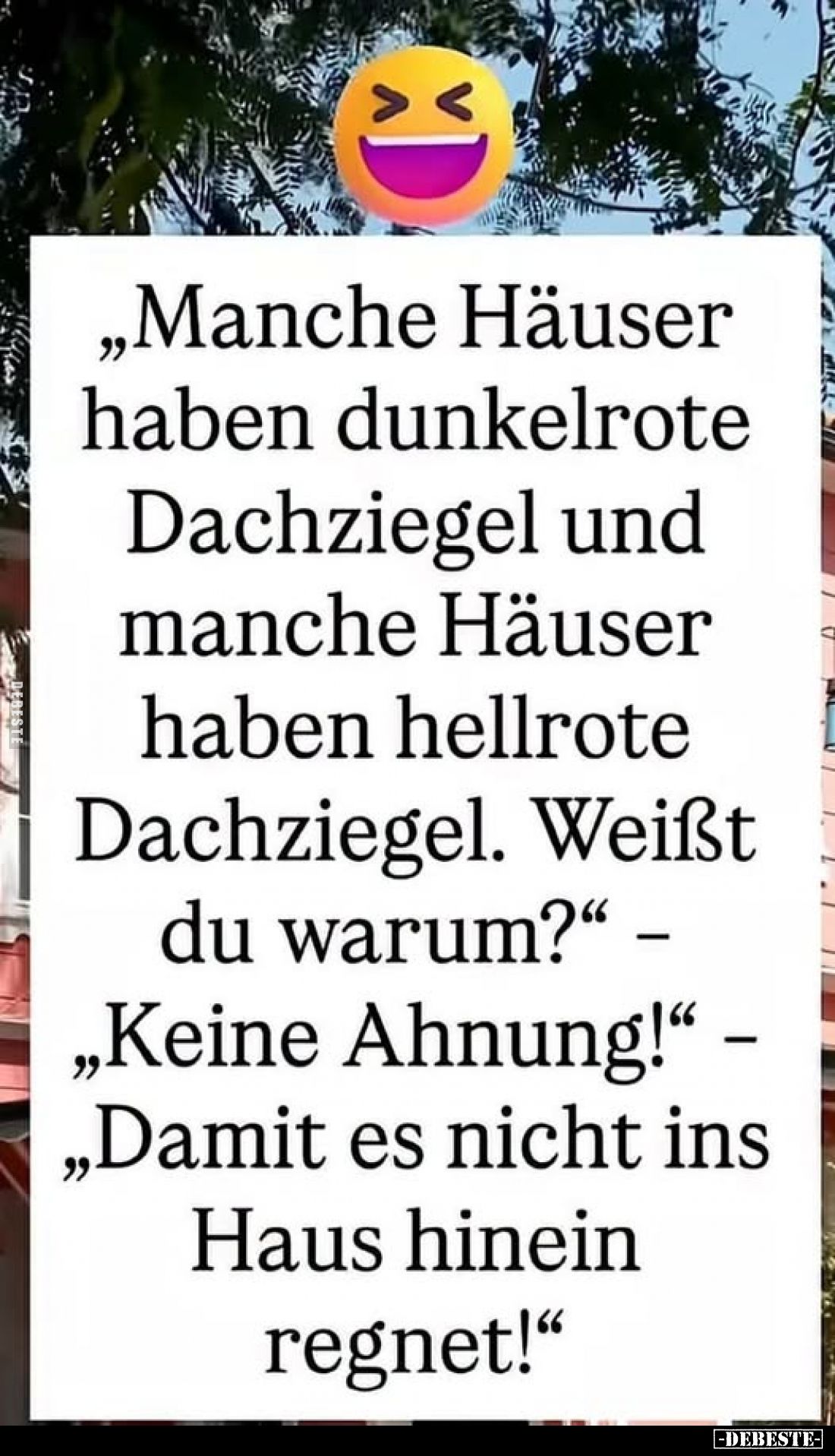 „Manche Häuser haben dunkelrote Dachziegel und manche Häuser haben hellrote Dachziegel. Weißt du warum?" -„Keine Ahnung!...