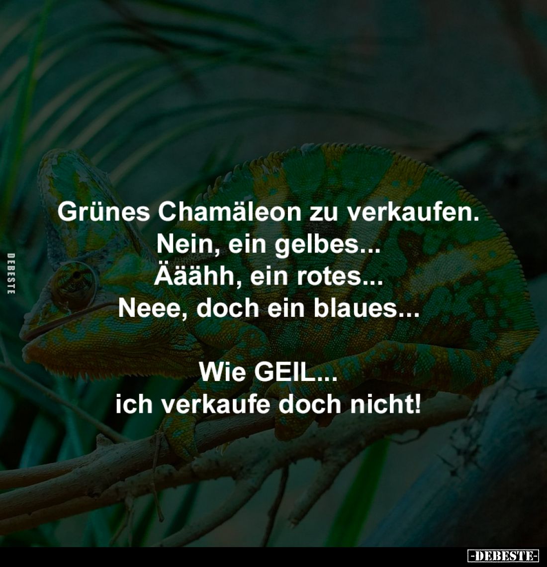 Grünes Chamäleon zu verkaufen.
Nein, ein gelbes...
Ääähh, ein rotes...
Neee, doch ein blaues...

Wie GEIL...
ich verkau...