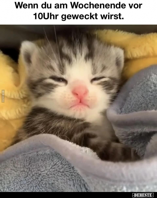 Wenn du am Wochenende vor 10Uhr geweckt wirst.