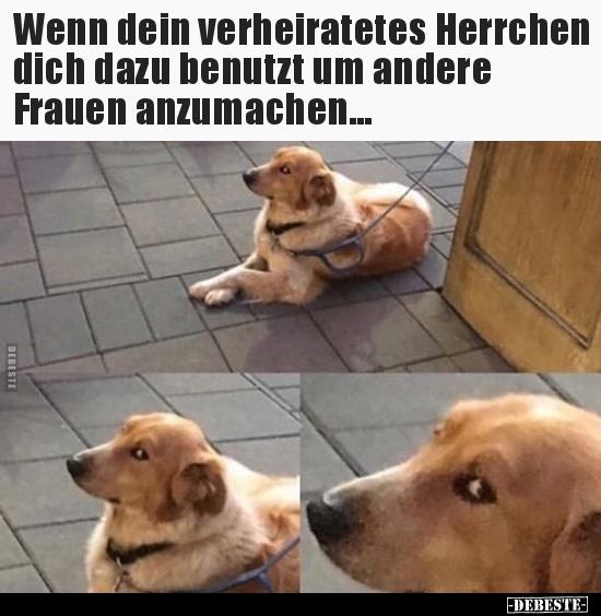 Wenn dein verheiratetes Herrchen dich dazu benutzt um.. - Lustige Bilder | DEBESTE.de