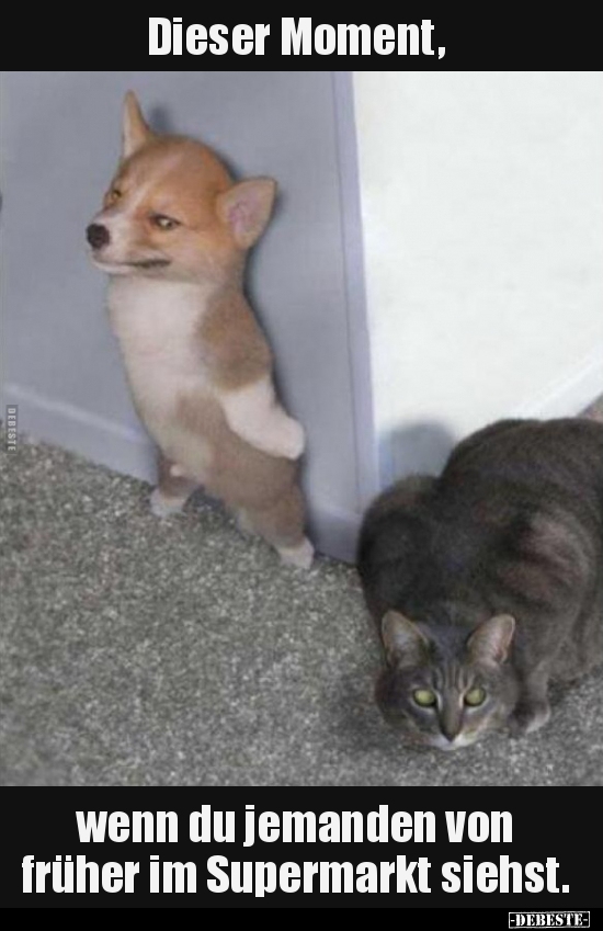 Dieser Moment, wenn du jemanden von früher im Supermarkt..
