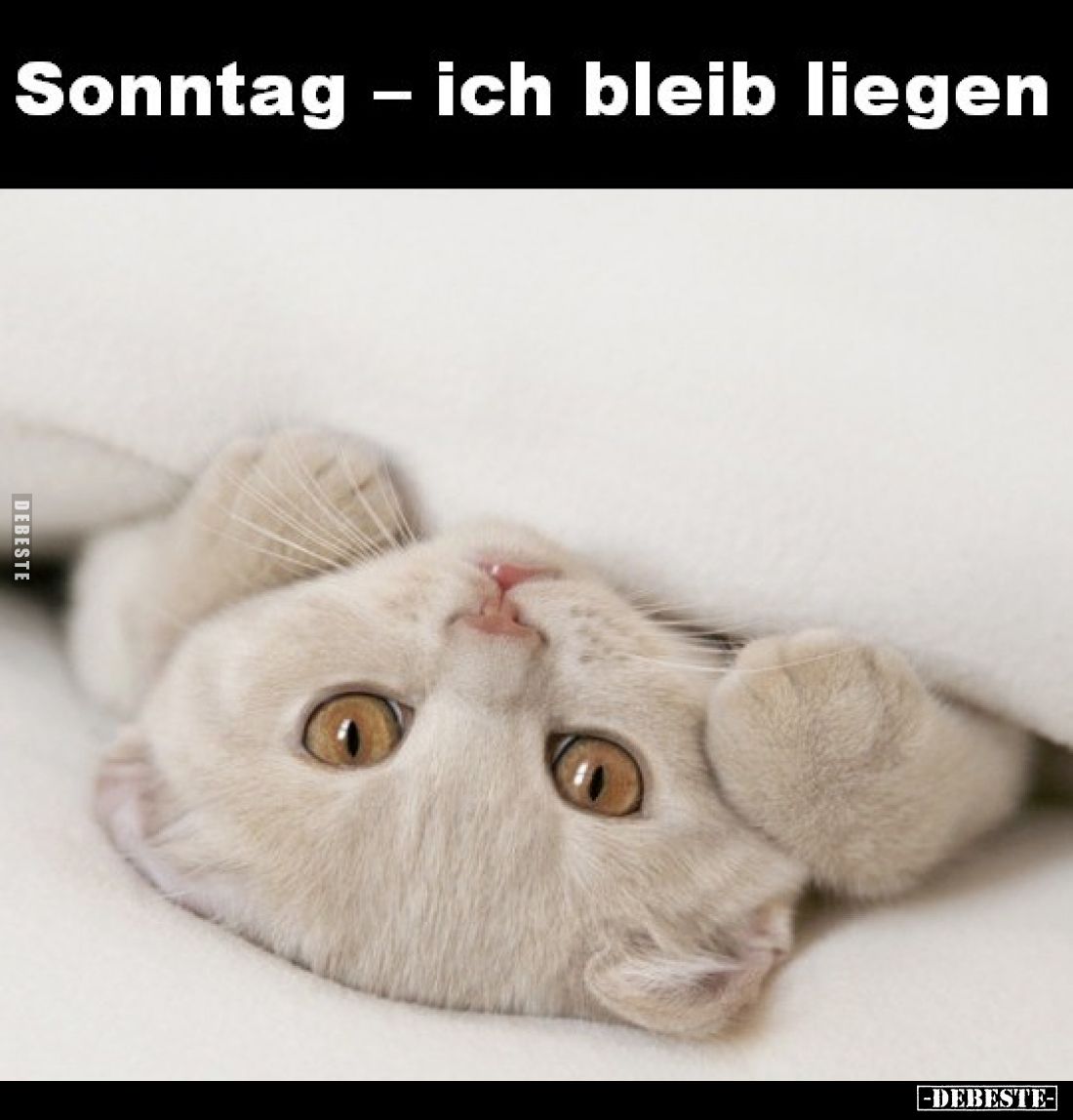 Sonntag - ich bleib liegen.