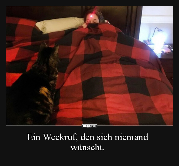 Ein Weckruf, den sich niemand wünscht... - Lustige Bilder | DEBESTE.de