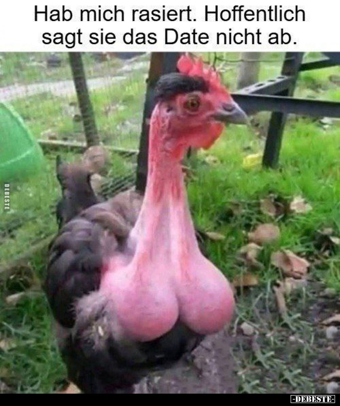 Hab mich rasiert. Hoffentlich sagt sie das Date nicht ab.