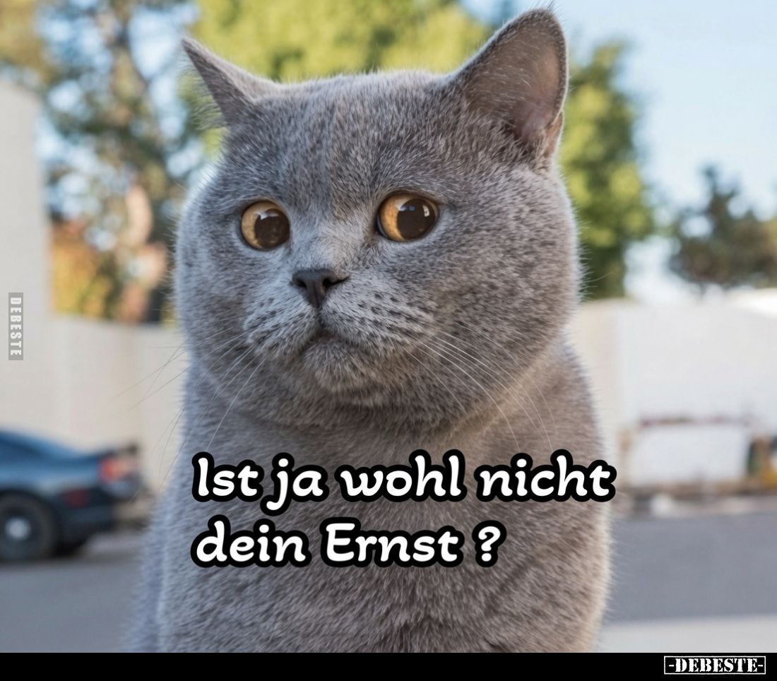 Ist ja wohl nicht dein Ernst?