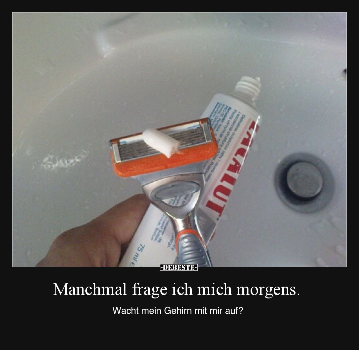 Manchmal frage ich mich morgens. Wacht mein Gehirn mit mir auf?