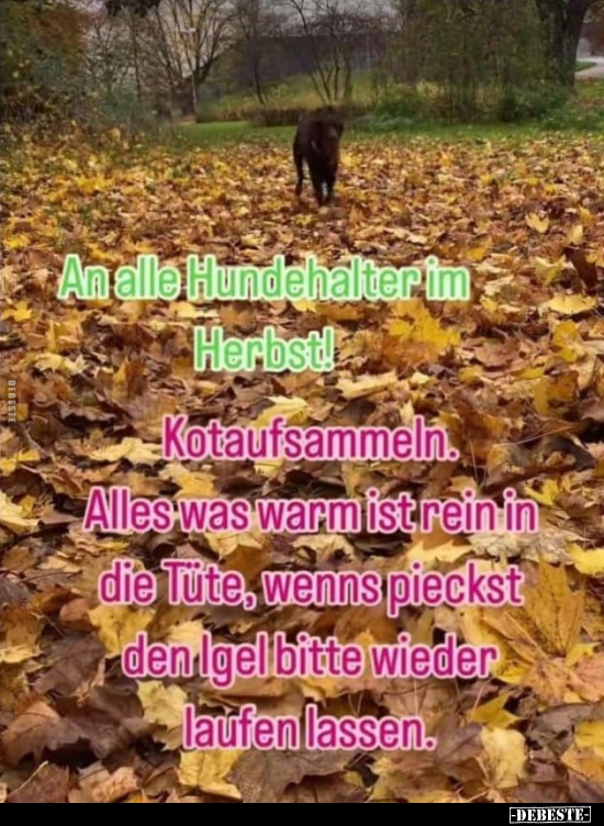 An alle Hundehalter im Herbst!.. - Lustige Bilder | DEBESTE.de