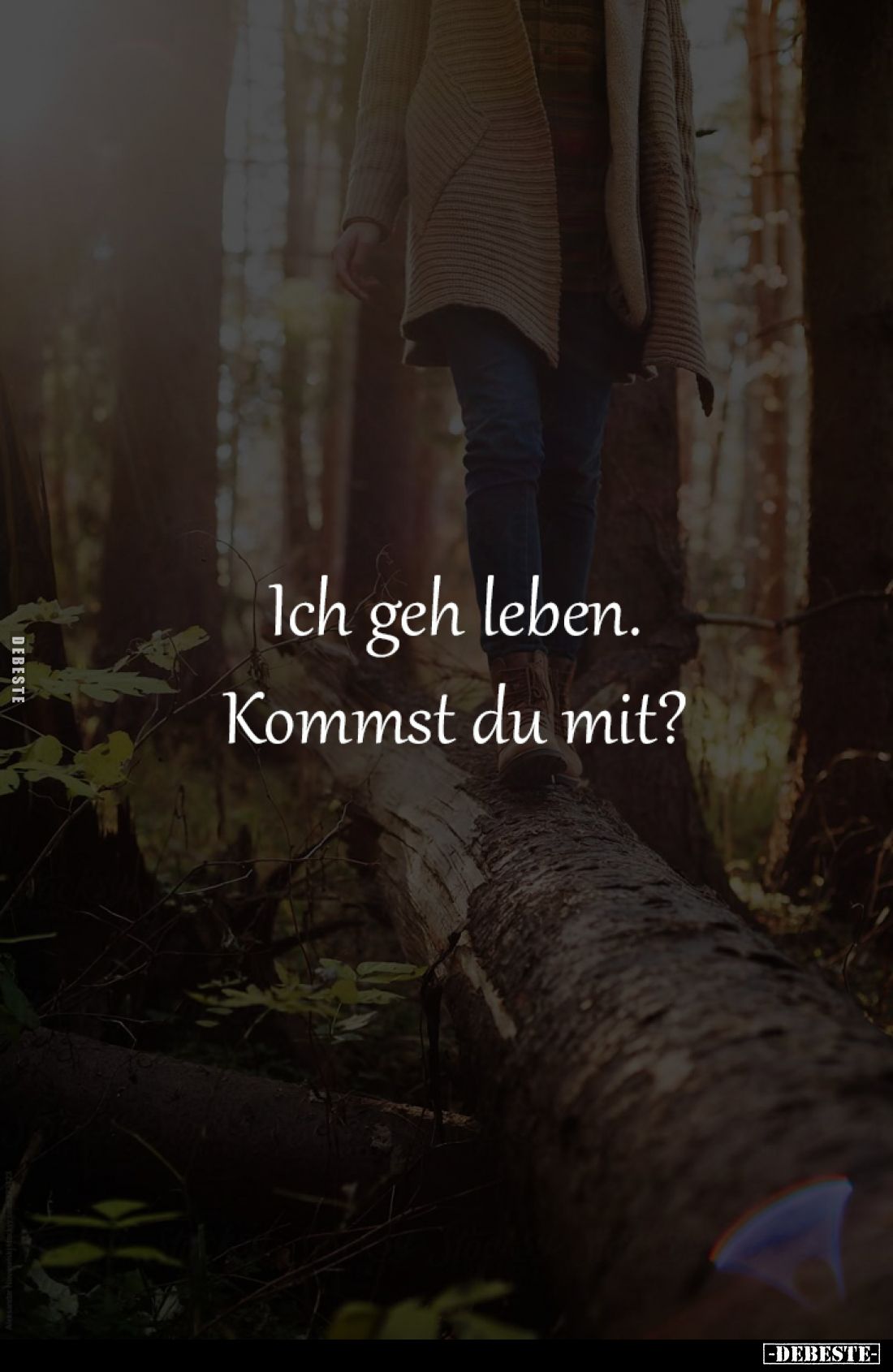 Ich geh leben.
Kommst du mit?