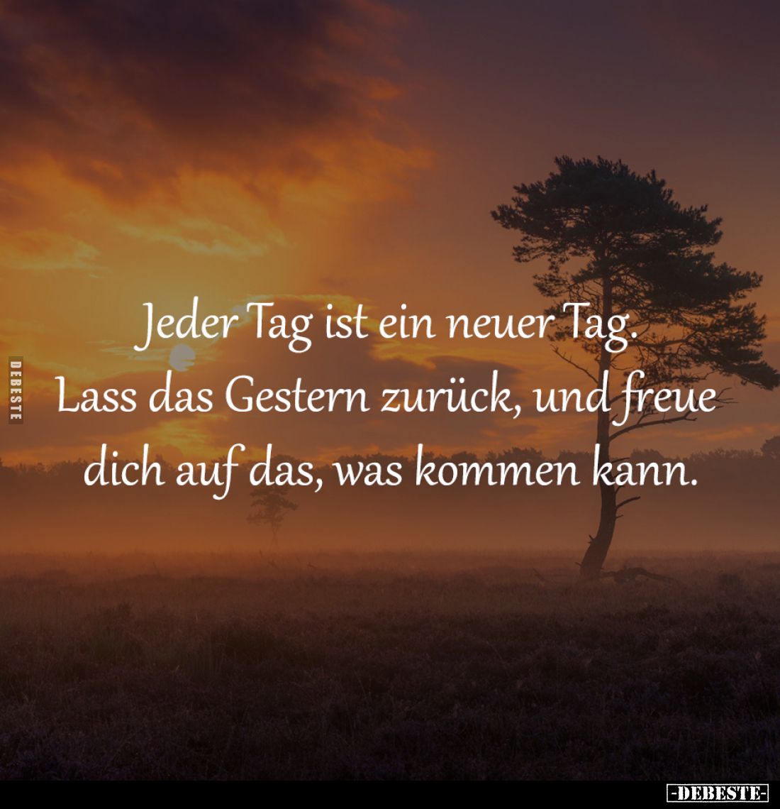 Jeder Tag ist ein neuer Tag.
Lass das Gestern zurück, und freue 
dich auf das, was kommen kann.