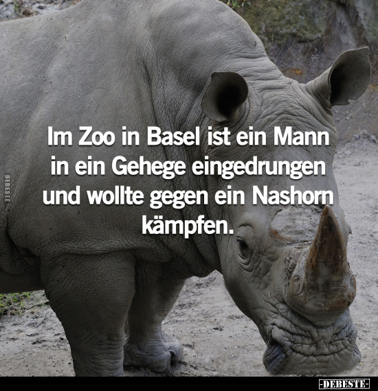 Mann, Nashorn, Kämpfen