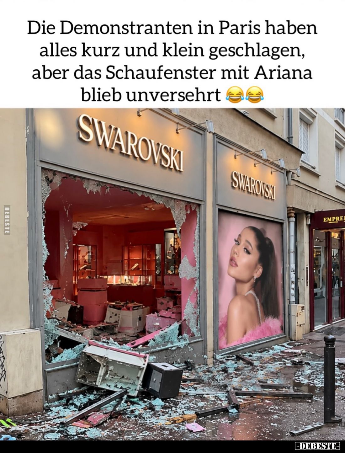 Die Demonstranten in Paris haben alles kurz und klein geschlagen, aber das Schaufenster mit Ariana blieb unversehrt.